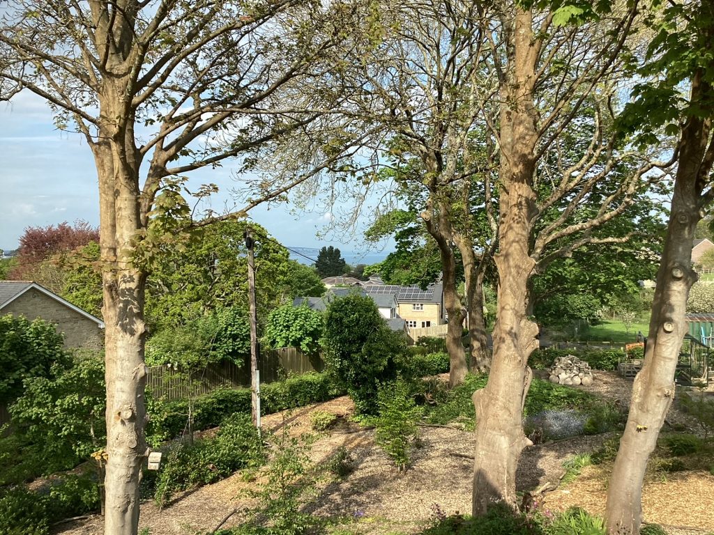 view from bedroom 2